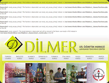 Tablet Screenshot of dilmer.com